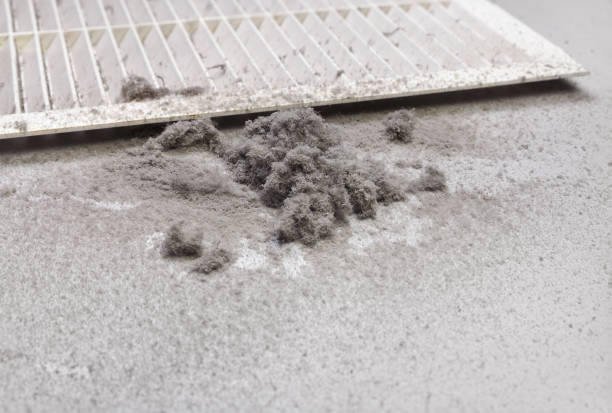 Best Affordable Air Duct Cleaning  in Seymour, IN